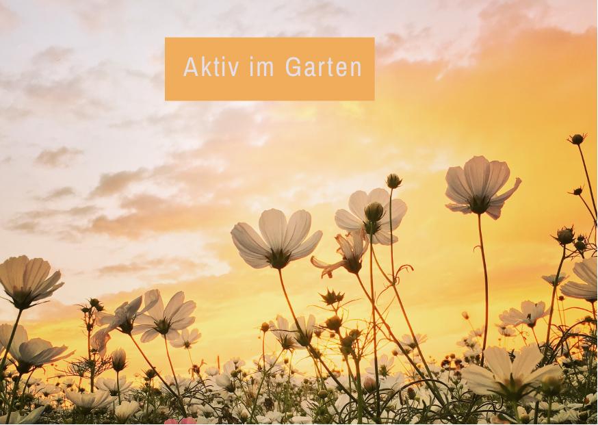 Gruppentherapie: Für Klienten:Innen, die bisher keine, oder wenig Erfahrung rund um das Thema Garten haben und den “G...